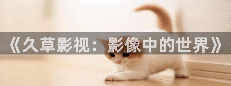 韓國影視電影：《久草影視：影像中的世界》