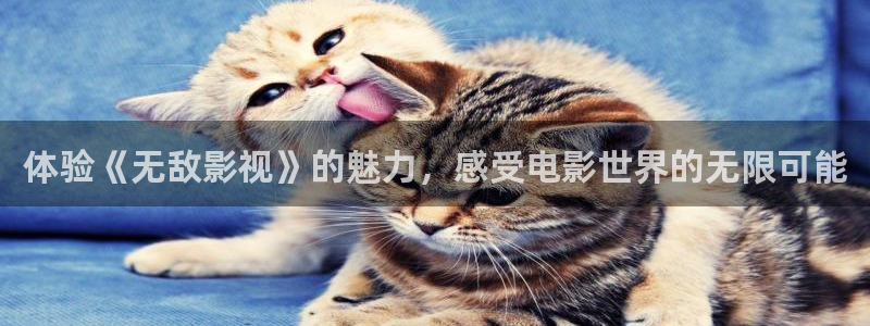 韓國影視：體驗《無敵影視》的魅力，感受電影世界的無限可能