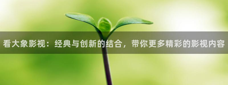 韓國影視免費在線觀看：看大象影視：經典與創新的結合，帶你更多精彩的影視內容
