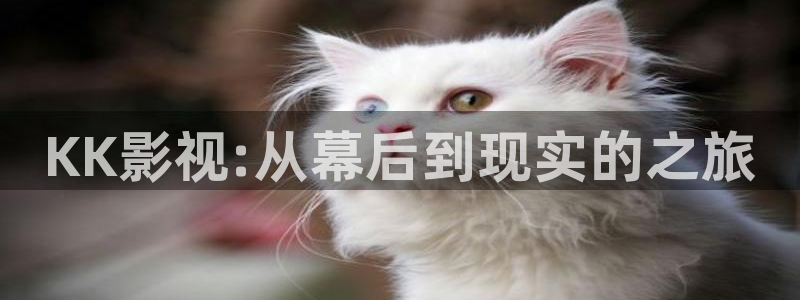 穿梭在韓國影視世界的小說