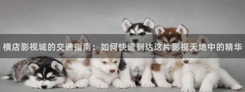 韓國影視電影