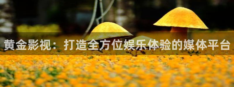韓國影視：黃金影視：打造全方位娛樂體驗的媒體平臺